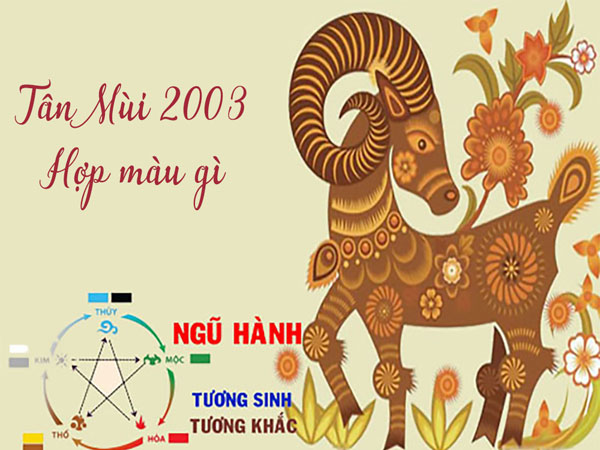 Tuổi Mùi hợp màu gì, màu sắc mang lại tiền tài cho tuổi Mùi