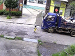 Ảnh bìa bài viết 903588