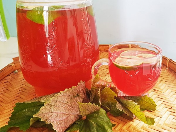 Nước lá tía tô làm đẹp da và phòng ngừa ung thu, nhưng lại 'đại kỵ' với 3 nhóm người sau