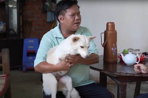 Cứu chú cún kỳ lạ bị bỏ rơi ven đường, 2 năm sau vợ chồng chạy xe ôm bỗng đổi đời