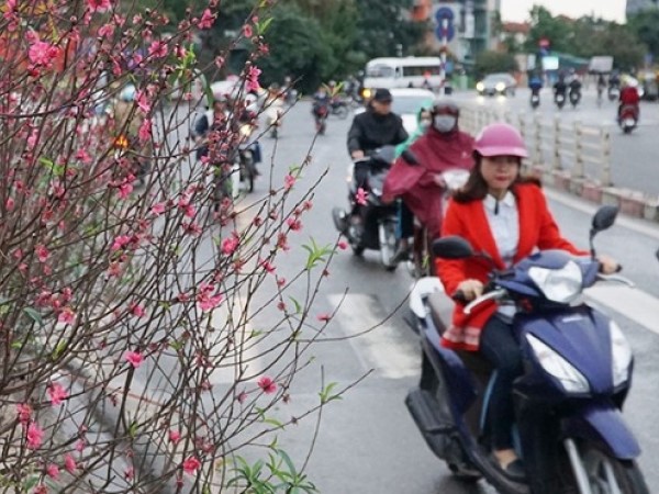 Trình phương án nghỉ Tết Nguyên đán 2024 từ 29 tháng Chạp