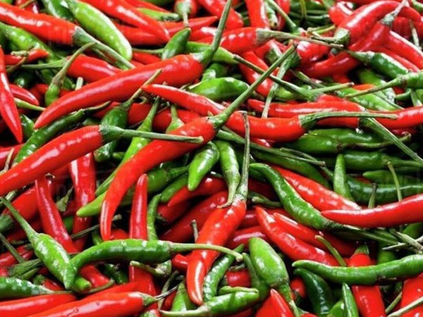 Ớt cực tốt nhưng cũng 'cực độc' với những người này