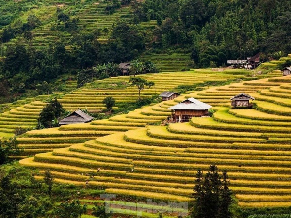 Những tọa độ check-in ruộng bậc thang đẹp nhất Hà Giang