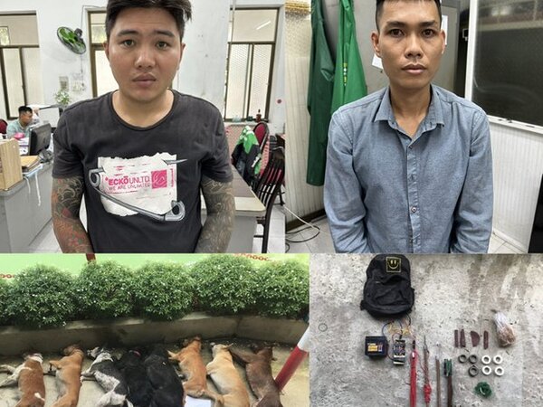 Danh tính hai thanh niên trong clip ô tô húc xe trộm chó ở TP HCM