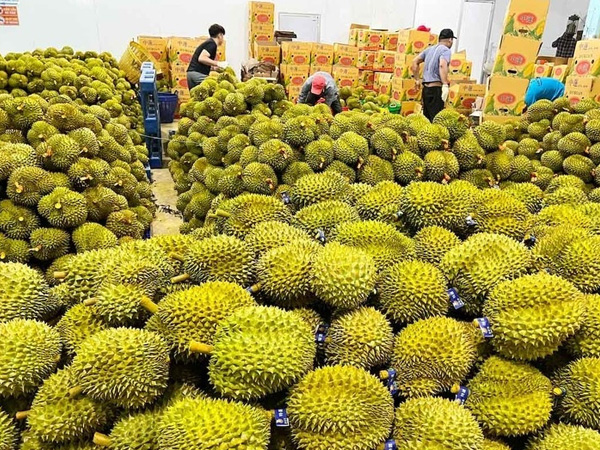 Trung Quốc chi 8,7 tỷ USD mua nông sản Việt, đơn hàng tiếp tục bùng nổ
