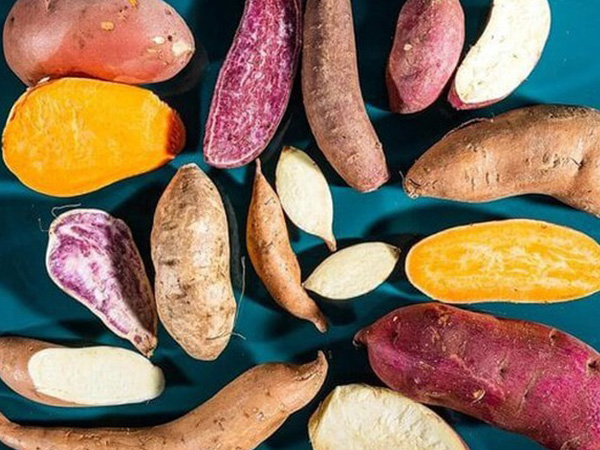 Thế nào là 'khoai lang đực', 'khoai lang cái'? Nên chọn mua loại nào?