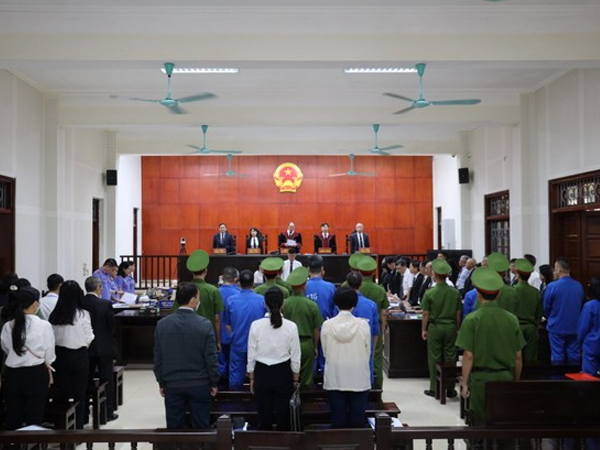 Chỉ định 4 luật sư bào chữa cho bà Nguyễn Thị Thanh Nhàn cùng 3 thuộc cấp