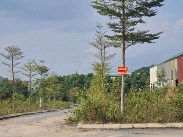 Đất nền khu vực đầu cầu Nhật Tân, Đông Anh ghi nhận 200 triệu/m2
