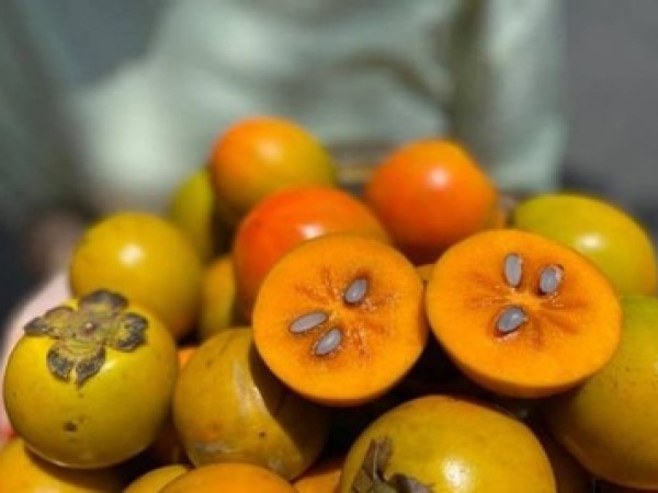 Cô gái phải mổ cấp cứu vì loại quả nhiều người ưa thích