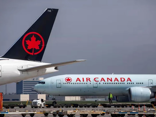 Hành khách khuyết tật lê mình khỏi máy bay, Air Canada phải xin lỗi