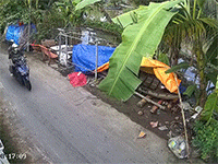 Thanh niên trộm gà trong một 'nốt nhạc', dân mạng dụi mắt vài lần mới thấy 'không một động tác thừa'