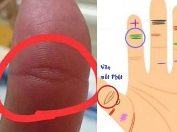 5 nét tướng tay của người có quý nhân phù trợ, cả đời an nhàn hưởng phúc