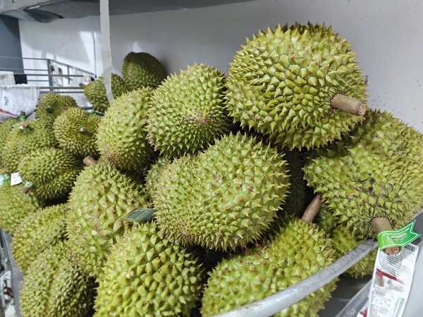 Sầu riêng lại lên cơn sốt giá, doanh nghiệp có lúc không mua được trái nào