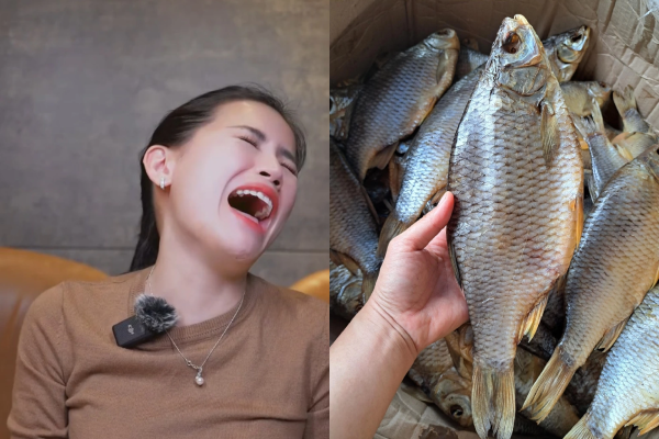 'Chiến thần review' Võ Hà Linh tiếp tục nhận 'gạch đá', nguyên nhân vì đâu?