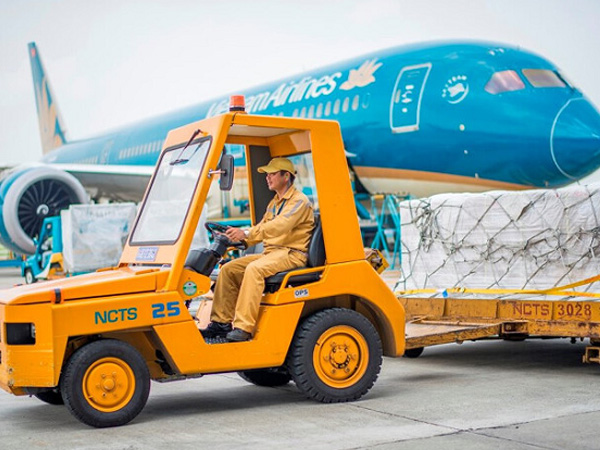 Thua lỗ triền miên, Vietnam Airlines sắp nhận cổ tức 43 tỷ đồng