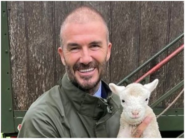 Tượng đài nhan sắc David Beckham gây sốc khi xuất hiện với mái tóc lưa thưa đến tội nghiệp