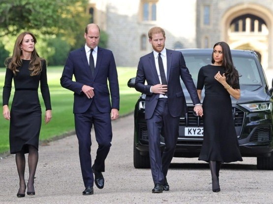 Chuyên gia hoàng gia: Harry - Meghan 'ghen tị' với vợ chồng anh trai William và Kate vì một lý do, dù cố xoay chuyển tình thế cũng không được