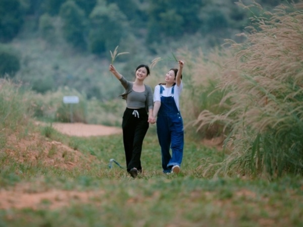Check-in đồi cỏ hồng đang gây sốt tại Hải Dương