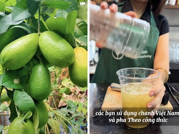 Giữa trend trà chanh giã tay, nhiều người bắt đầu chọn nông sản Việt để thay thế và kết quả bất ngờ