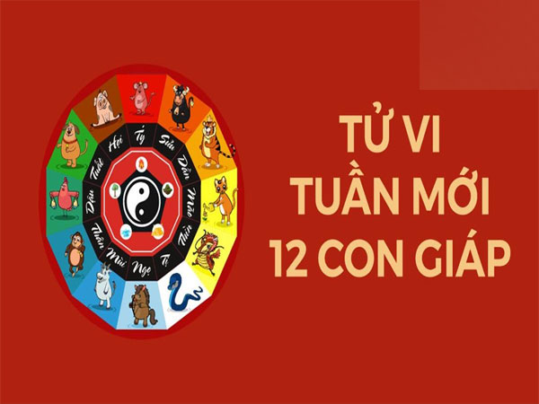 Tử vi tuần mới của 12 con giáp từ 4 – 10/12/2023: Tý có vận may tài chính, Dần đột phá