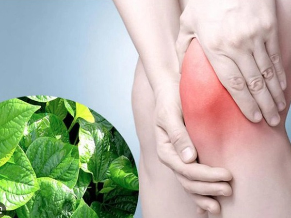 Loại rau rẻ tiền bán đầy chợ, mùa đông người Việt nên ăn theo cách này để giảm đau xương khớp