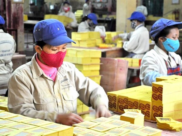 Lãi kỷ lục, công ty vàng mã trả cổ tức 'khủng'