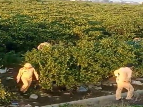 Công an giăng 'thiên la địa võng' ở khu rừng bần ngập mặn để truy bắt 2 phạm nhân trốn trại