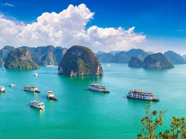 Lý do Việt Nam được chọn là điểm đến lý tưởng cho năm mới 2024