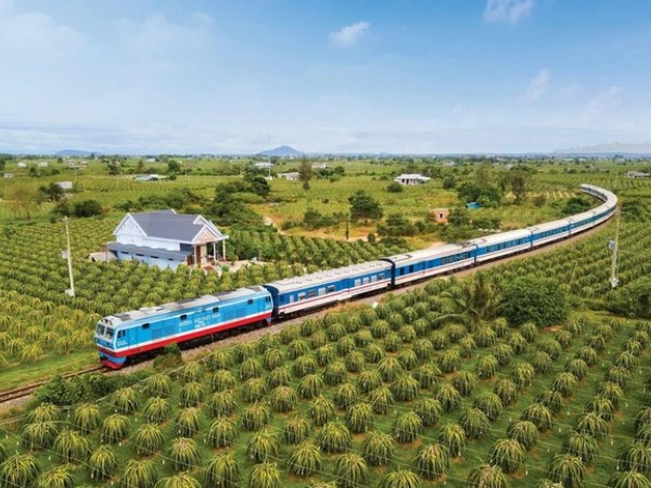 Sẽ thế nào nếu vườn thanh long trở thành điểm đến cực hot cho chuyến du lịch Tết 2024?