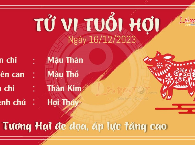 Tử vi thứ 7 ngày 16/12/2023 của 12 con giáp: Tý như ý, Mùi khó tính
