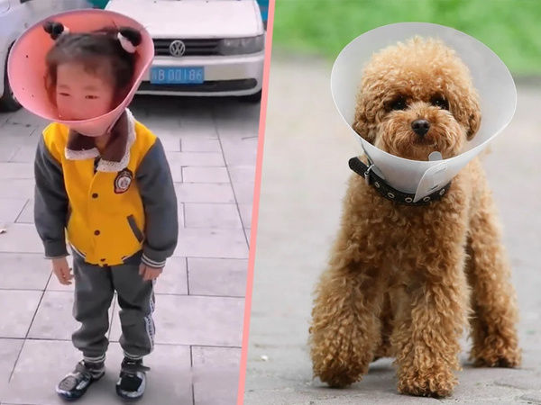Ông mua đồ cho chó để giúp cháu gái cai nghiện điện thoại, kết quả đem lại khiến tất cả đều bất ngờ