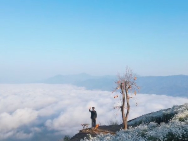 Điểm săn mây ngay vườn cúc hoạ mi được bà con vùng cao chung tay tạo nên, dân mạng thích thú ủng hộ