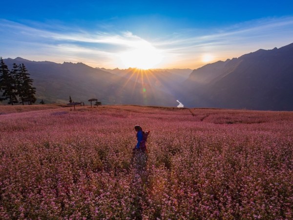 Đến Hà Giang, ngắm cao nguyên đá nở hoa mùa tam giác mạch