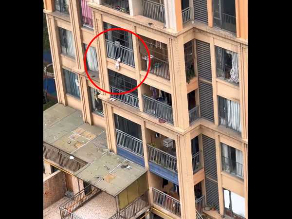 Hàng xóm dũng cảm leo ra ngoài ban công tầng 4 cứu đứa trẻ mắc kẹt