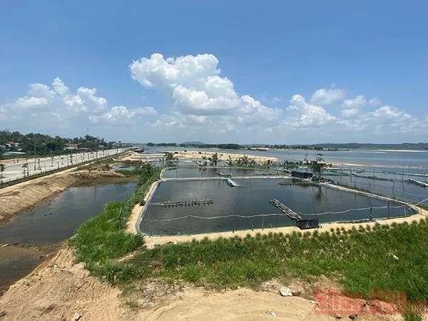 Người đàn ông bị bò đá rơi xuống hồ tôm tử vong