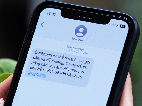Người Việt thiệt hại trung bình gần 20 triệu đồng khi bị lừa đảo online