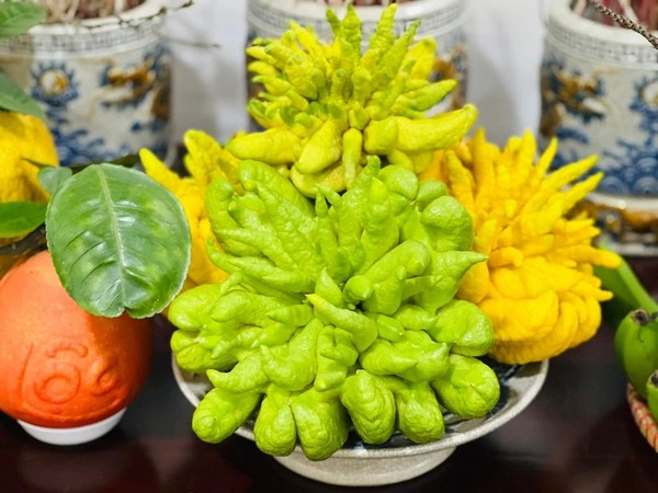 Có nên bày quả phật thủ lên bàn thờ ngày Tết?