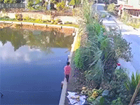 Bé trai vô tình ngã xuống ao sâu khiến nhiều người hoảng hốt