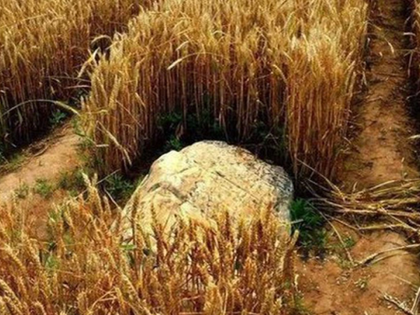 Vì sao 'ngọn núi nhỏ nhất Trung Quốc' cao chỉ 0,6m nhưng không ai dám leo trèo?