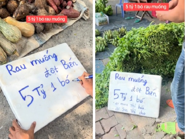 Anh bán rau treo biển 5 tỷ cho bó rau muống đột biến, dân mạng đồng loạt gọi tên Thái Công