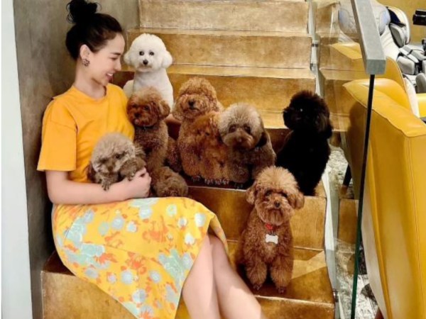 Quỳnh Thư tiếp tục bất mãn khi bị kéo vào drama, nói gì về cuộc sống hiện tại?