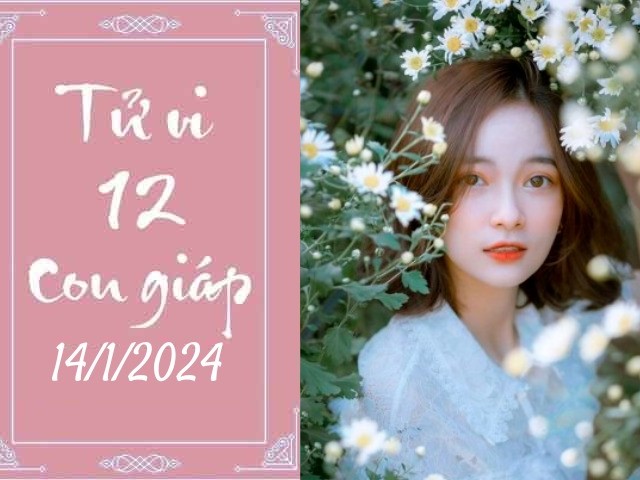 Tử vi Chủ nhật ngày 14/1/2024 của 12 con giáp: Thìn bị ám hại, Thân dôi dư tài lộc