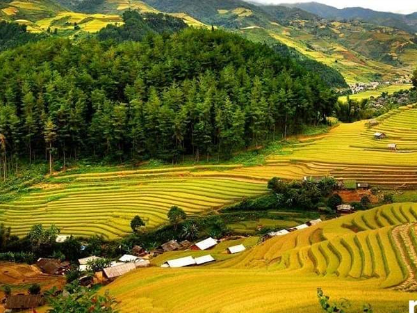 Cẩm Nang Du Lịch Pù Luông Thanh Hoá, vẻ đẹp thiên nhiên hùng vĩ miền Tây Bắc