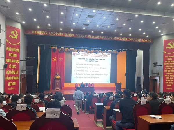 Vụ đấu giá đất hơn 4 tỉ đồng/m2: Do căng thẳng nên trả giá nhầm?