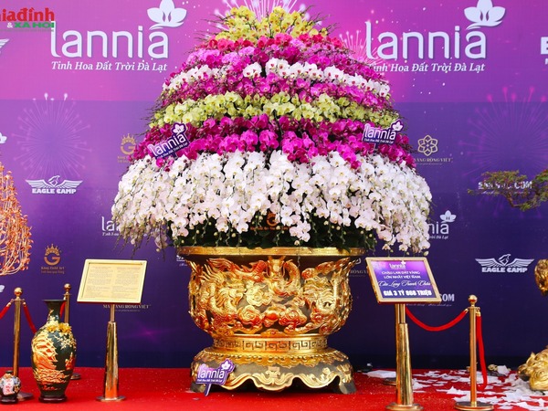 Ngắm chậu lan hồ điệp mạ vàng 24K, nặng hơn 1 tấn, nhìn giá ai cũng 'choáng váng'