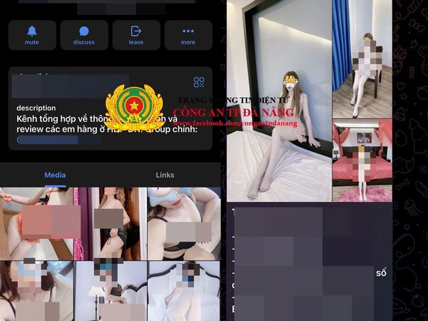 Triệt phá đường dây mại dâm trong hội nhóm 15 ngàn thành viên trên Telegram
