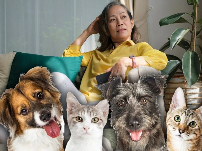 Con cháu không quan tâm chăm sóc, cụ bà để lại tài sản 69 tỷ đồng cho chó mèo cưng