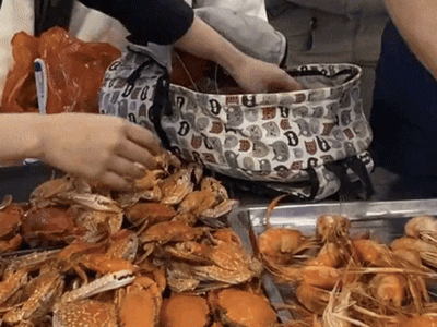 Xôn xao vụ nhóm khách 7 người ăn buffet Hà Nội nhét 10kg hải sản vào túi mang về