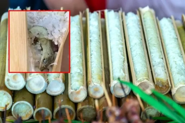 Ăn cơm lam lại có mùi thịt nướng, cô gái có trải nghiệm 'tởn tới già'
