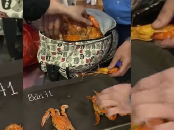 Từ vụ lấy hải sản ở quán buffet: Đưa hình ảnh khách lên mạng coi chừng phạm luật